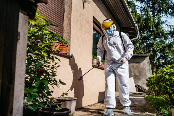 Best Bed Bug Extermination  in Shorewood Tower Hills Harbert, MI