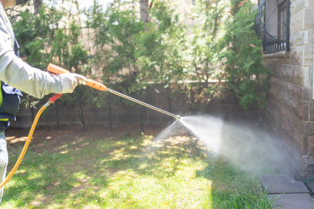 Best Wasp Removal Services  in Shorewood Tower Hills Harbert, MI
