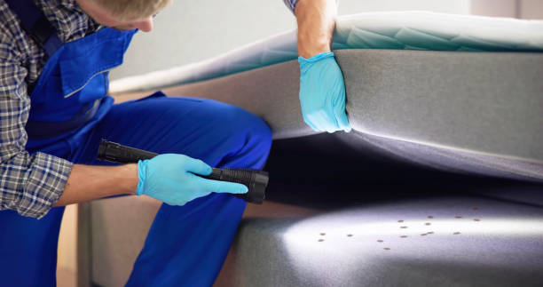 Trusted Shorewood Tower Hills Harbert, MI Pest Control Experts